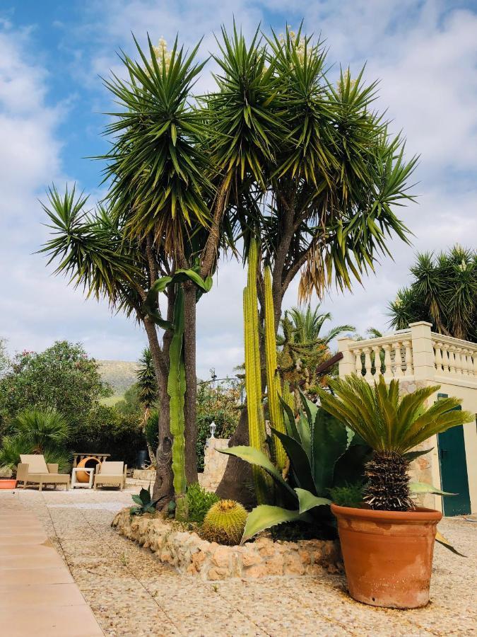 Finca Randa, Llucmayor, Bis 3 Sz, Pool, Garten Льюкмайор Экстерьер фото