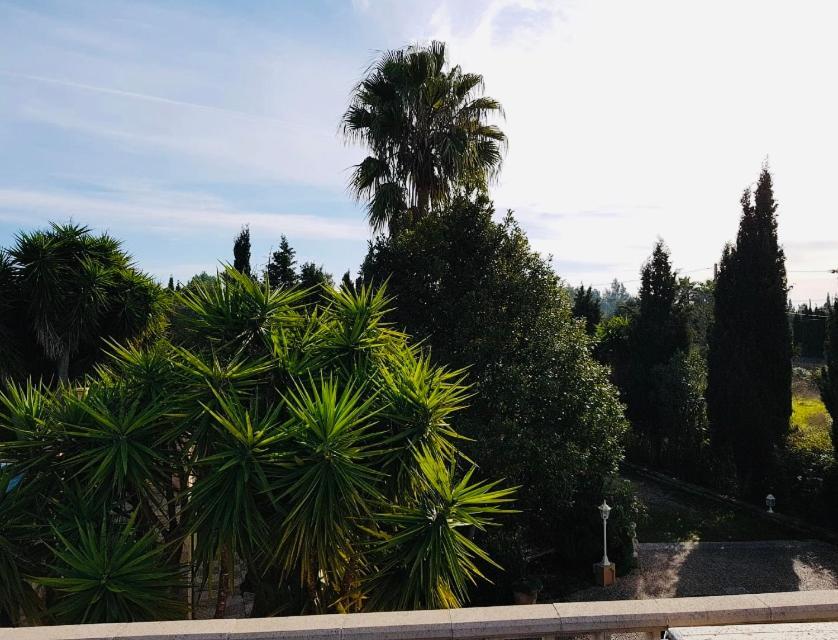 Finca Randa, Llucmayor, Bis 3 Sz, Pool, Garten Льюкмайор Экстерьер фото